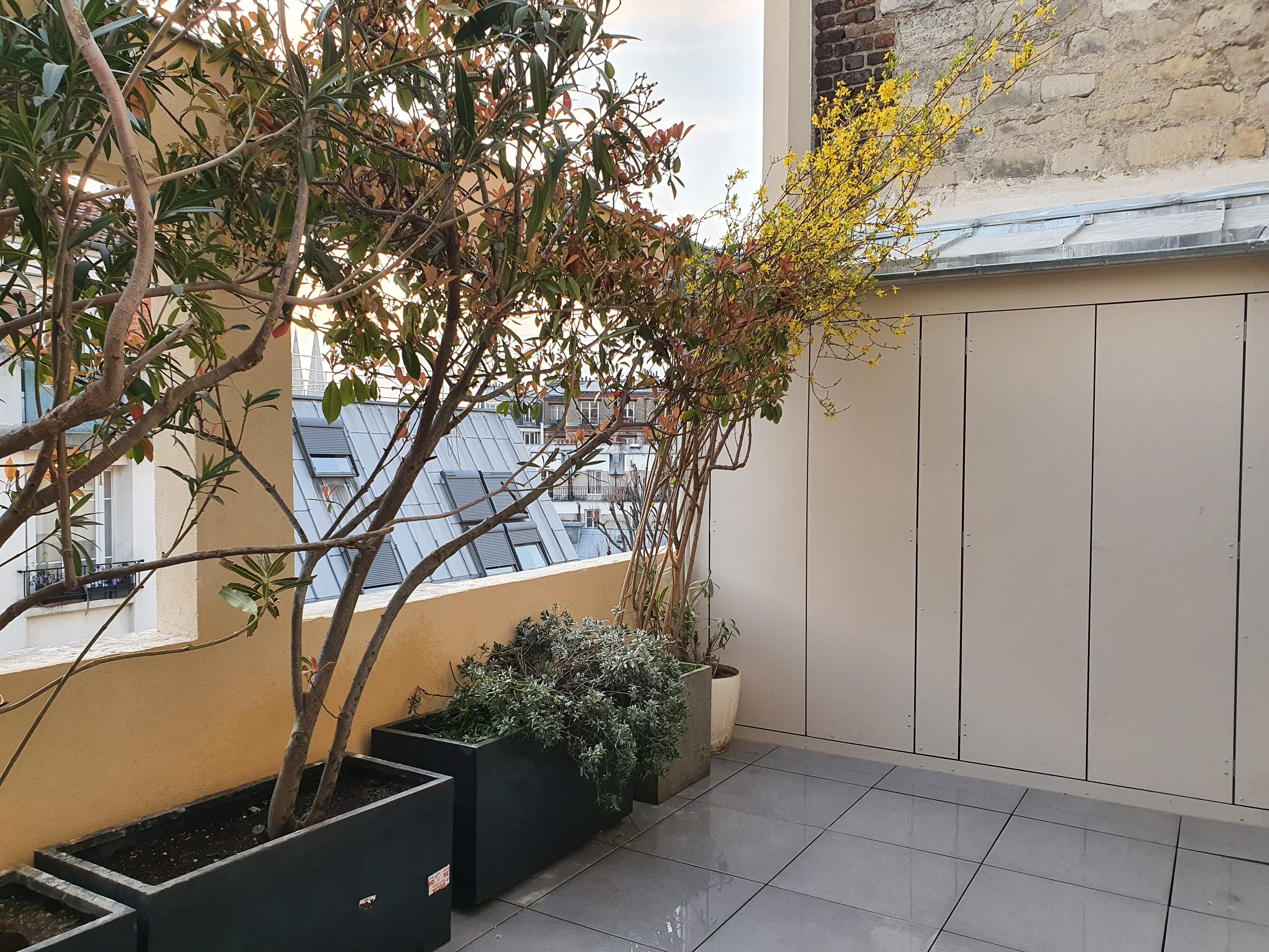 cosytech batiments professionnels Paris-M-75020_3.jpg