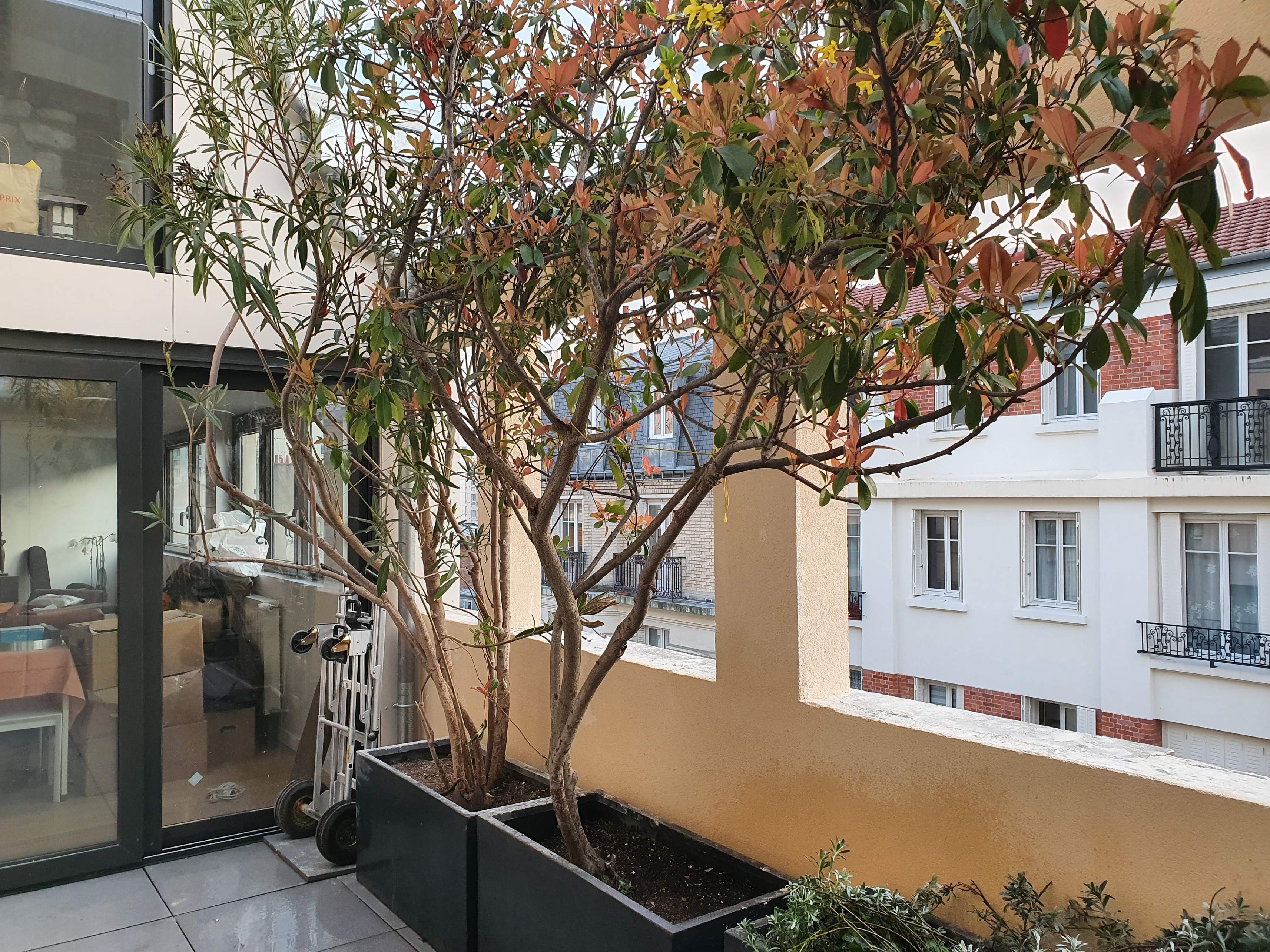 cosytech batiments professionnels Paris-M-75020_4.jpg